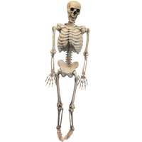 60" Hanging Skeleton