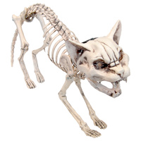 Screaming Skeleton Cat w/Light Up Eyes
