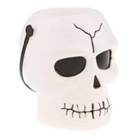 Skull Candy Pail