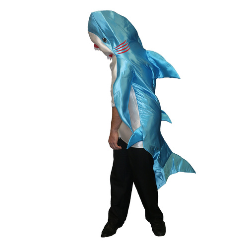 Blue Shark - Adult image