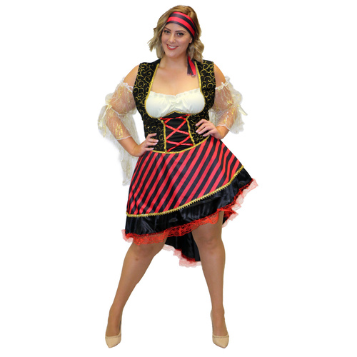 Pirate Maiden image