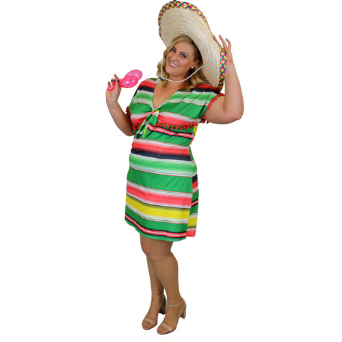 Mexican Dress - Adult Plus - XXL image