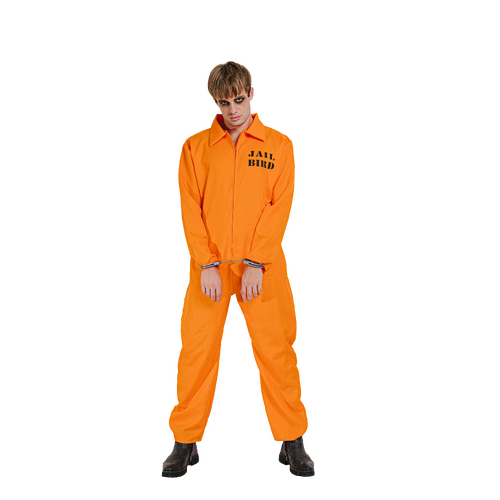 Prisoner - Adult image