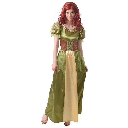 Forest Fairy - Adult Costume image