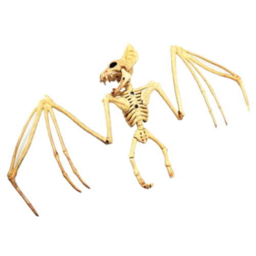  Skeleton Flying Bat  image