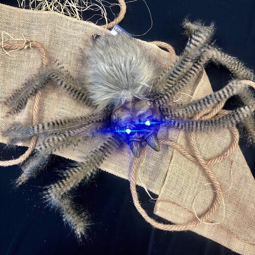 Arachniod  - Animated Dropping Large Spider image