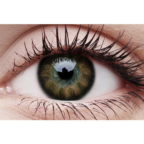 contact lenses