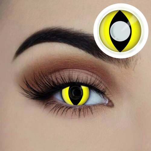 Starry Eyed Yearly Lenses - Yellow Cat image