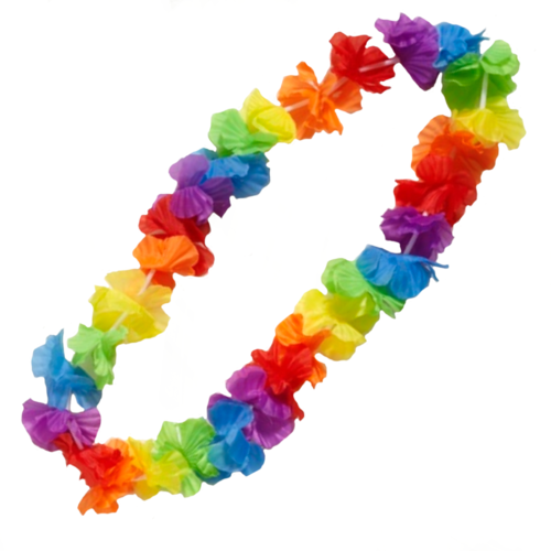 Lei - Multi Colour image