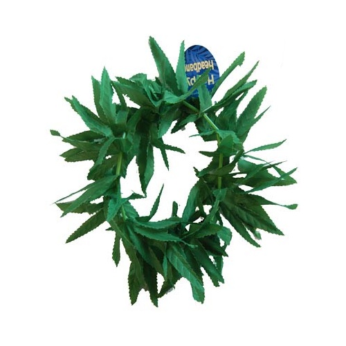 Happy Leaf Headband image