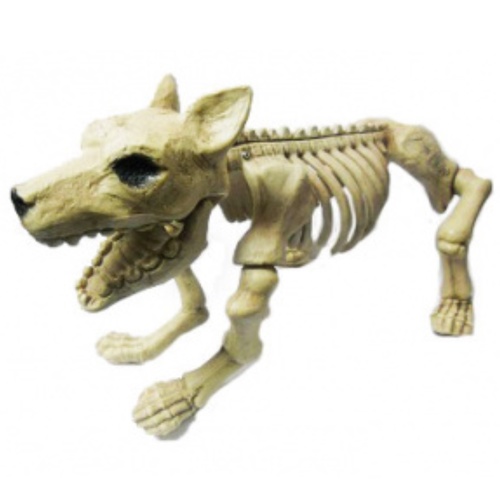 Skeleton Dog image