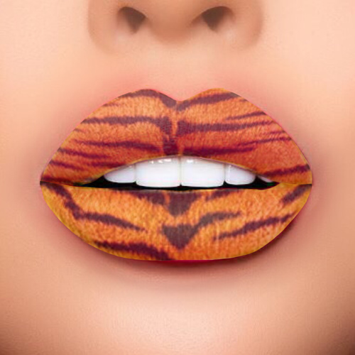 Wild Smile - Le Tigre
