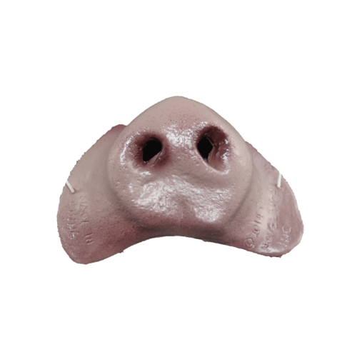 Pig Nose image