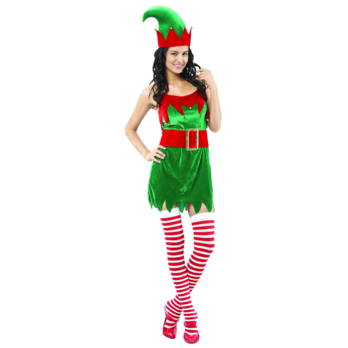Miss Aussie Elf image