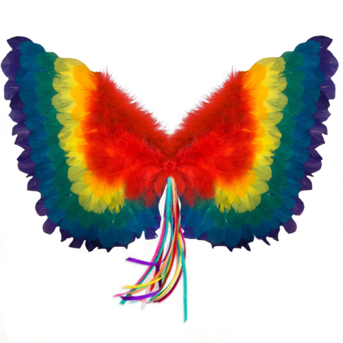 Rainbow Wings image