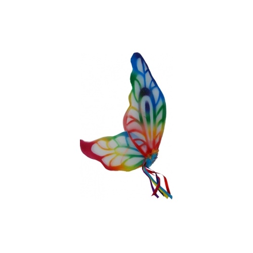 Rainbow Butterfly Wings image