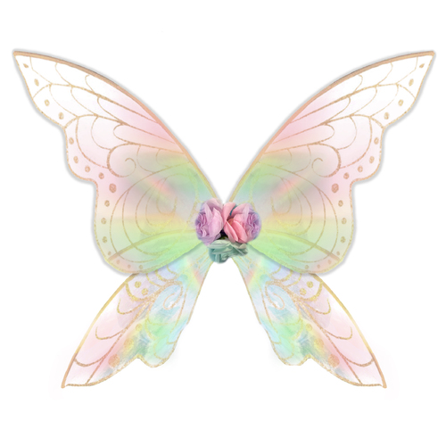 Enchanted Fairy Wings - Pink image