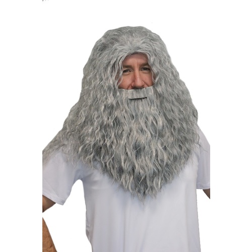 Deluxe Wizard Beard & Wig Set - Grey image