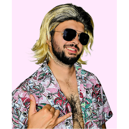 Deluxe 70s Surfer Dude Wig image